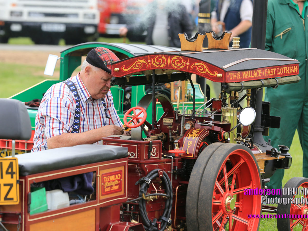 vintage tractor at the BVAA Rally in May at the Borders Events Centre