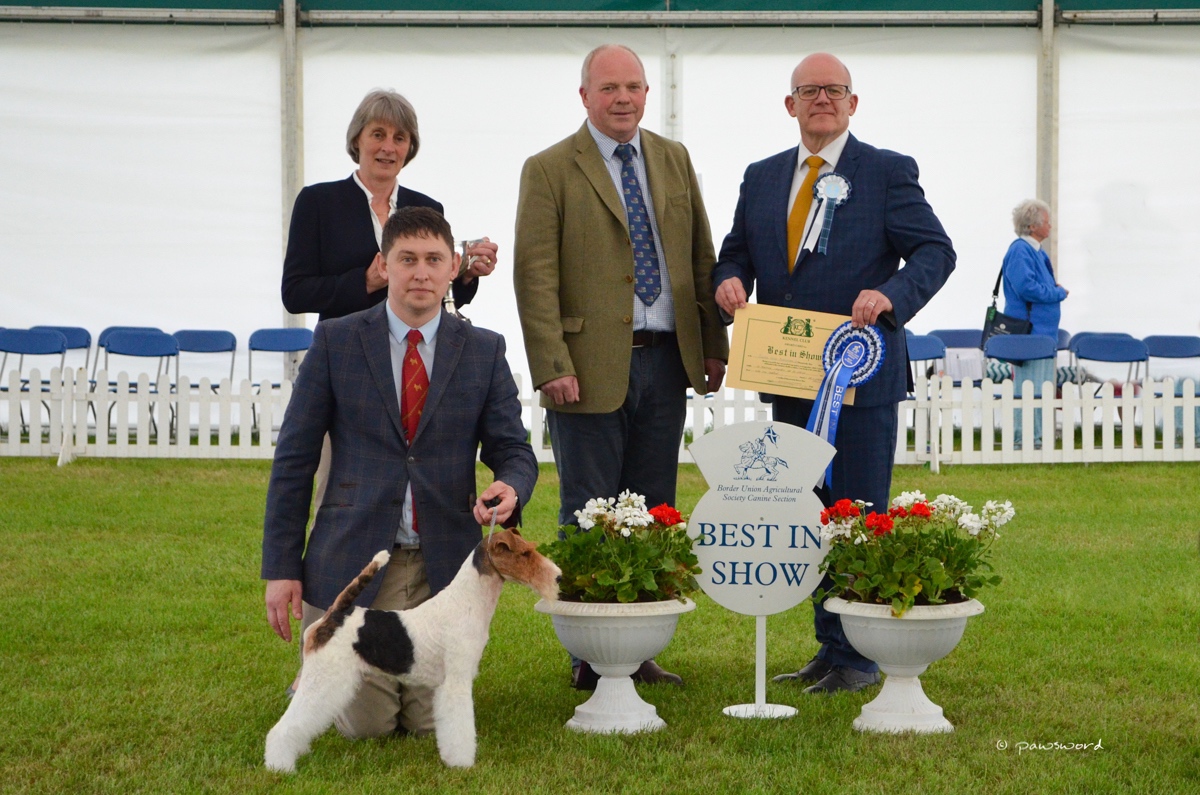 Border Union Championship Dog Show Borders Events Centre